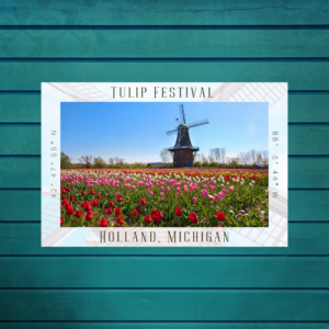 Tulip Festival Holland, MI